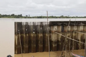 BA76D779 D572 439F B397 CB047AEF0B9A