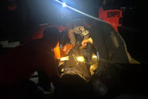 WhatsApp Image 2023 08 15 at 21.01.15 jpg 1