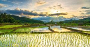 WhatsApp Image 2023 10 24 at 11.00.43 8a72eb89