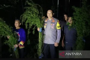 IMG 20231107 115530 copy 1280x871.jpg