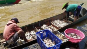 WhatsApp Image 2023 11 06 at 12.00.08 f3907e04