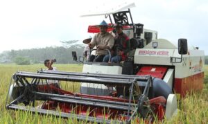 WhatsApp Image 2023 11 07 at 13.57.39 c8acf5a2