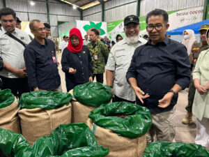 akmal malik berau cocoa