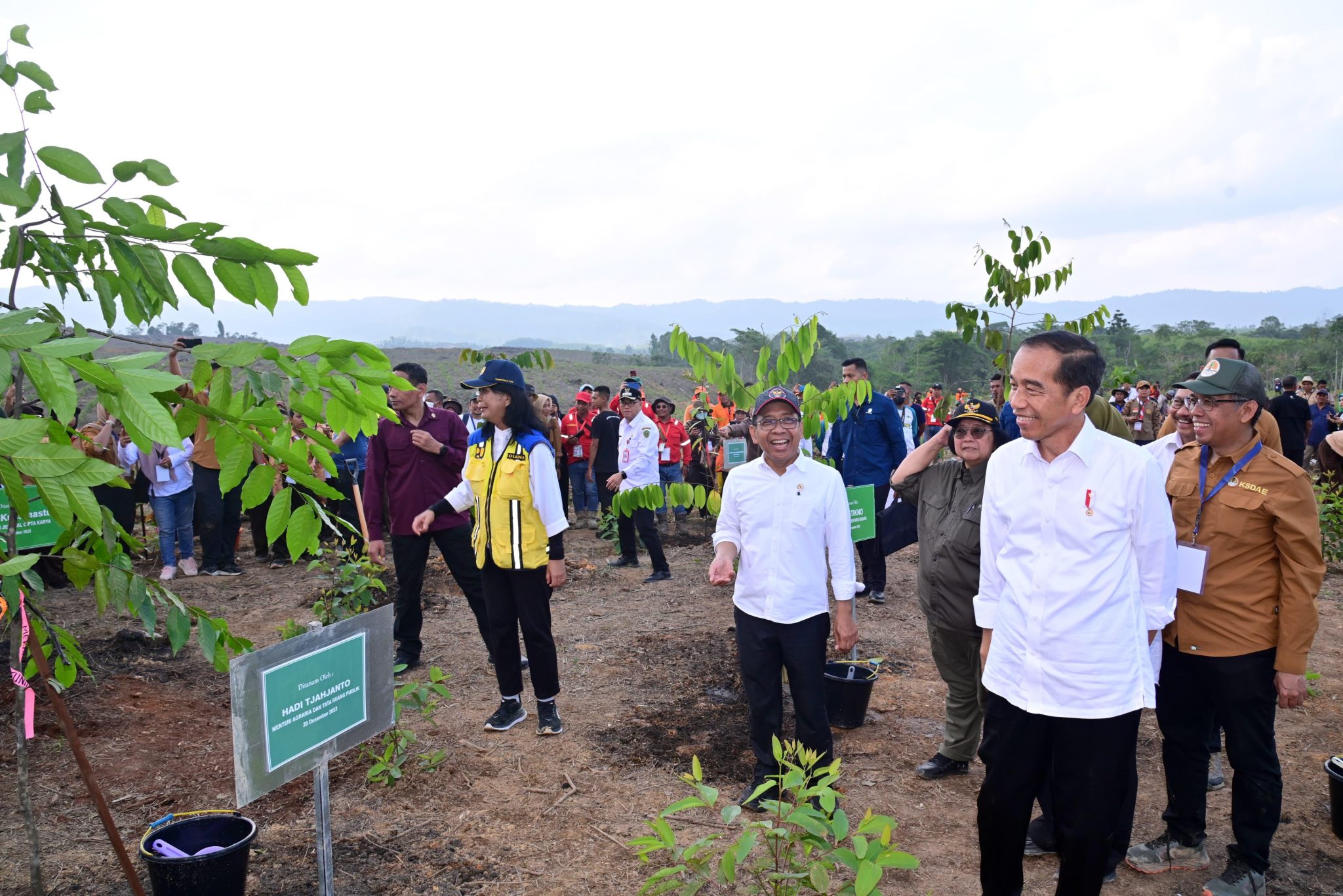jokowi di hutan