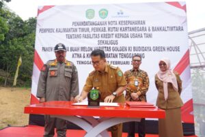 DSC02660 copy 800x535