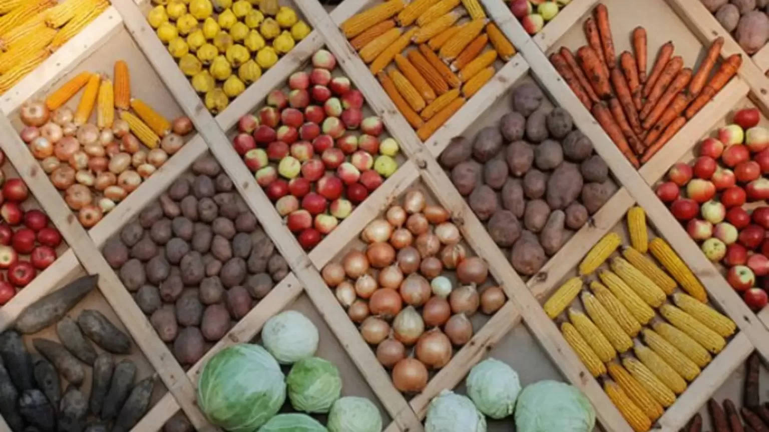 Salinan dari Ukuran Foto Berita Prolog 4 1536x864 1