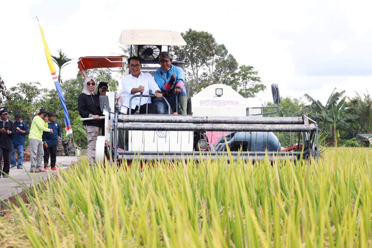 28dcebab whatsapp image 2024 05 13 at 20.47.20