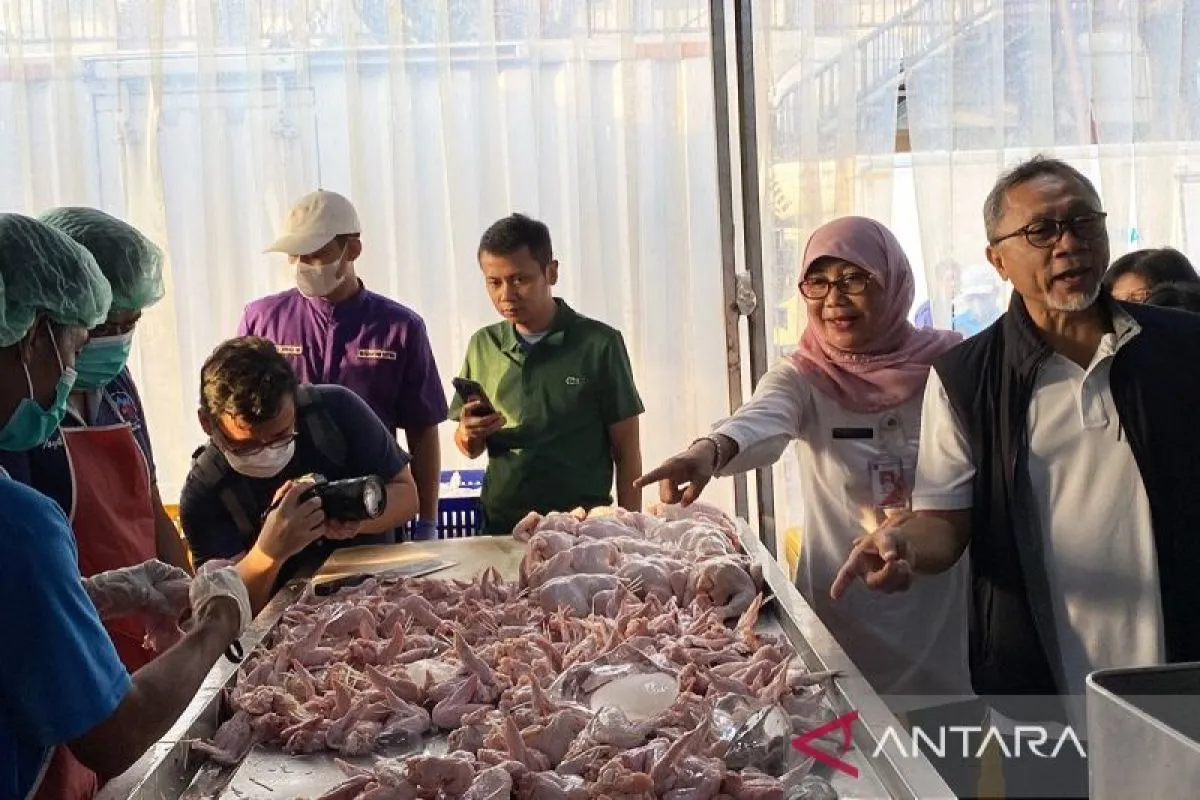 8029f31f mendag halal