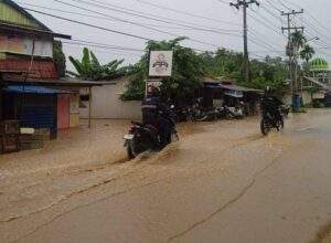 59c3d834 whatsapp image 2024 06 25 at 21.35.21