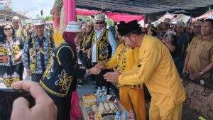 8519d438 whatsapp image 2024 07 15 at 15.28.48