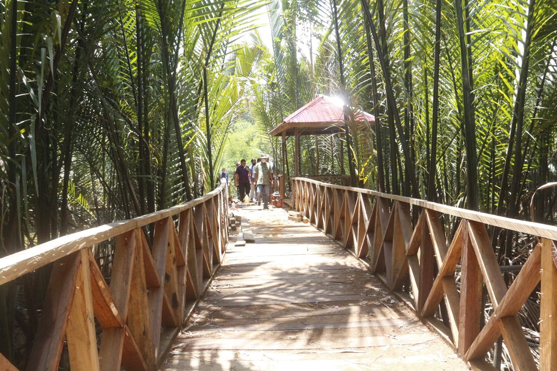 5fda7b3a 8. hutan mangrove tanjung palas utara