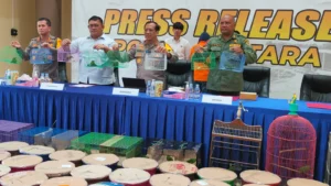 Polda Kaltara Ungkap Perdagangan Ilegal Burung Cucak Hijau yang Dilindungi