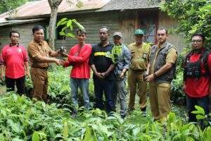 Genjot Produksi Kakao, Disbun Kaltim Beri Bantuan untuk Tiga Kabupaten benuanta