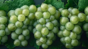 Bapanas: Anggur Shine Muscat Aman Dikonsumsi, Uji Cepat Pestisida Memenuhi Standar benuanta