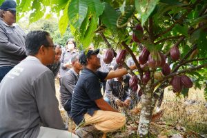 Lahan Luas, Sumber Daya Ada, DPRD Berau Tekankan Potensi Besar Sektor Pertanian dan Perikanan