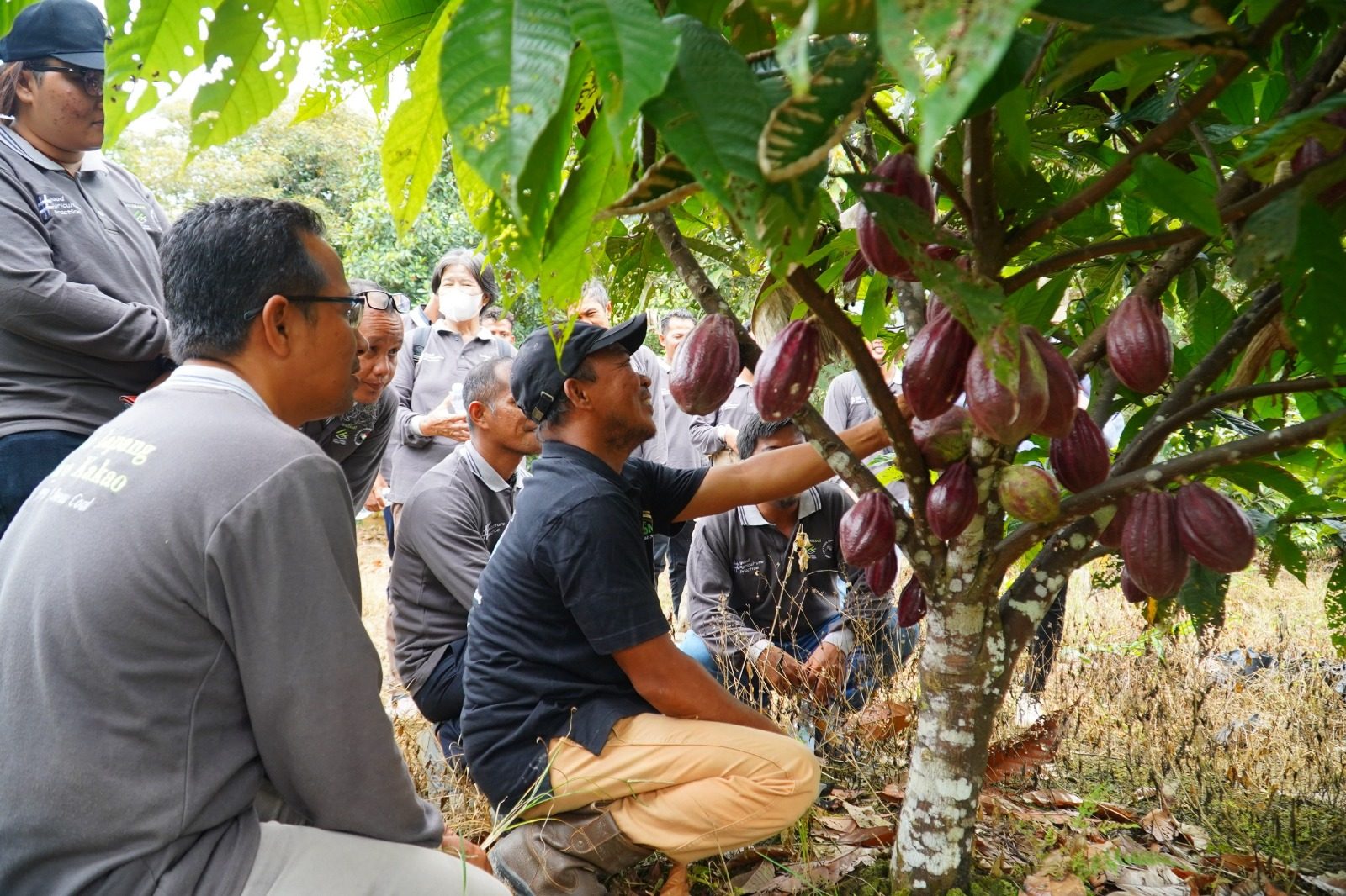 Lahan Luas, Sumber Daya Ada, DPRD Berau Tekankan Potensi Besar Sektor Pertanian dan Perikanan