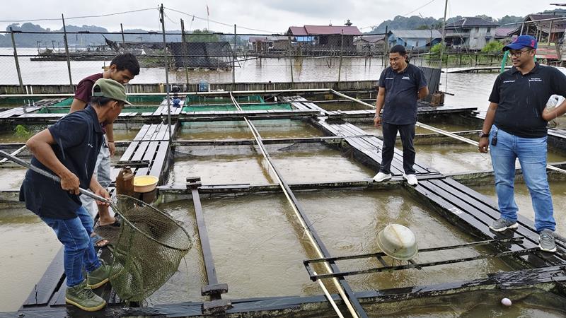 Diversifikasi Sektor Perikanan di Loa Ulung: DKP Kukar Dorong Budidaya Ikan Darat untuk Ketahanan Ekonomi dan Lingkungan