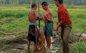 Hadapi Ancaman Kemarau, Desa Segihan Fokus Bangun Irigasi Pertanian