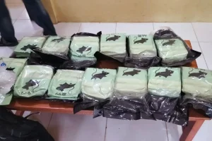 Hendak Diedarkan di Kaltara, Penyelundupan 13 Kg Sabu Berkedok Racun Tikus Digagalkan