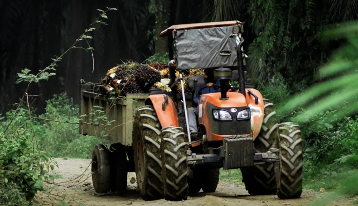 Bina Pertiwi Dorong Transformasi Pertanian Modern Lewat Distribusi Traktor Sawah Kubota di Berbagai Daerah