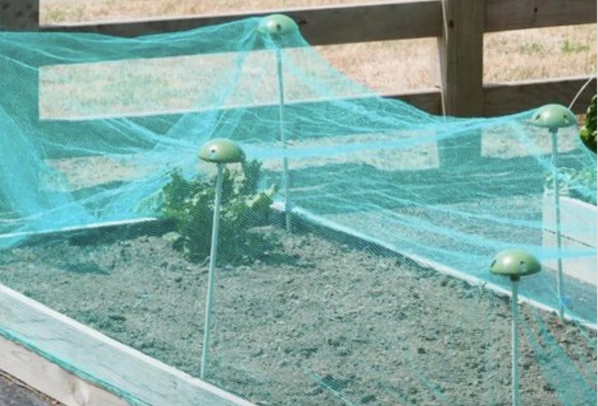 Tips Memilih Distributor Insect Net untuk Kebutuhan Grosir