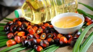 Harga CPO Tembus Seribu Dolar, Industri Sawit Bersiap Hadapi Kenaikan Bea Keluar